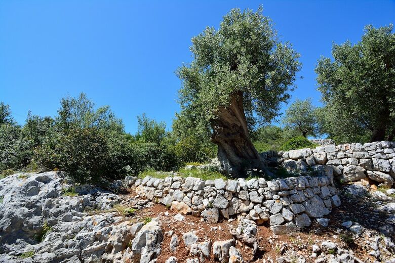 Agroturismo Masseria Spetterrata