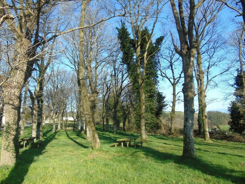 Apartamentos Buenavista Tineo