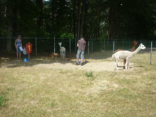 Apartamento De Alpacaboerderij