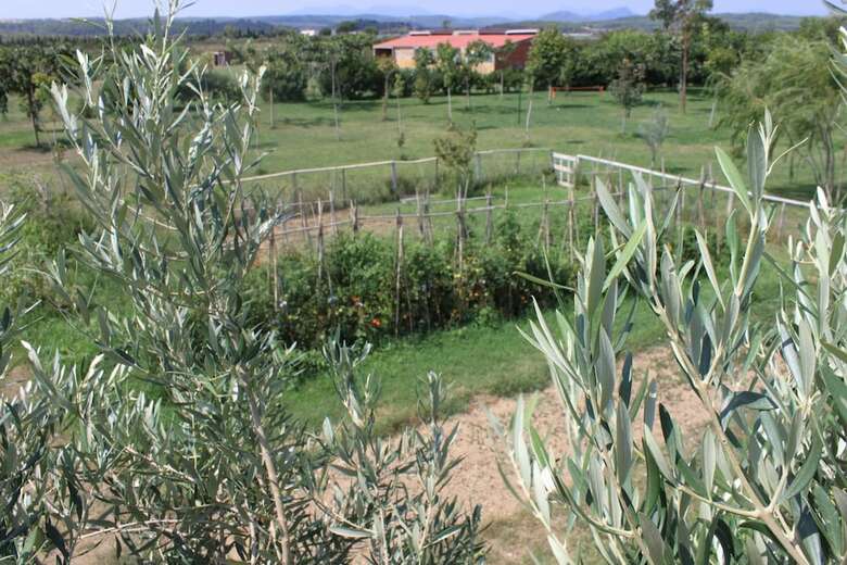 Hostal Granja Escola La Perdiu