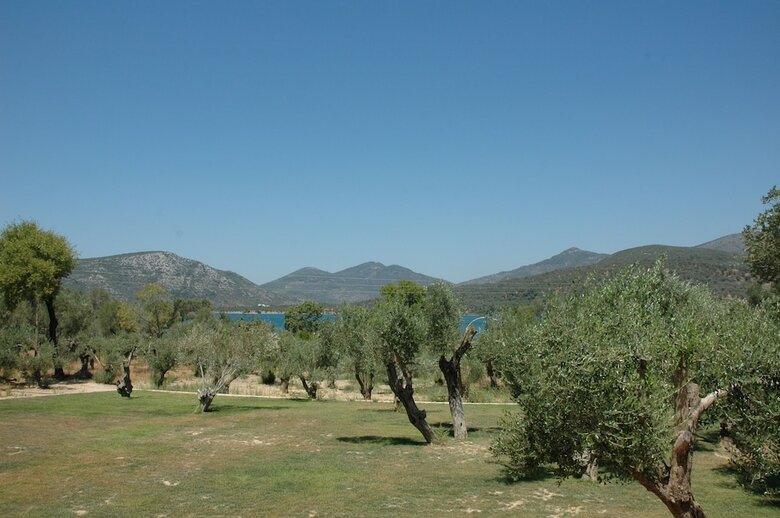 Hotel Gera's Olive Grove