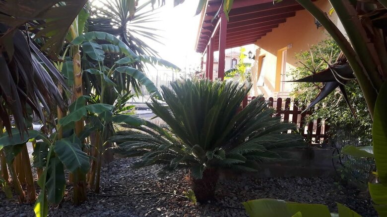 Apartamentos Casas El Jabali