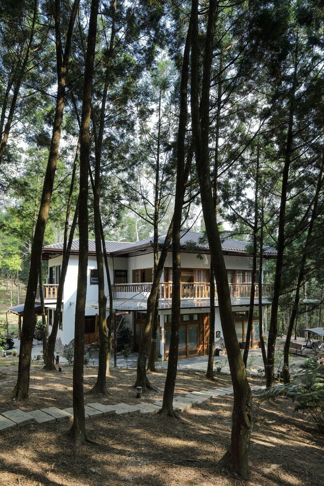 Bed & Breakfast Nine Trees Forest House