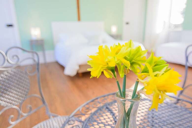 Bed & Breakfast Ch�teau de La Villeneuve