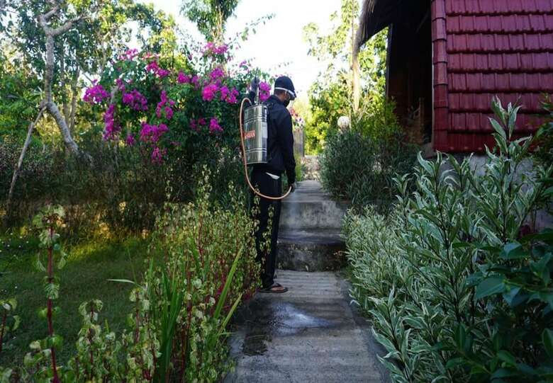 Hotel Bougainvillea Bungalow