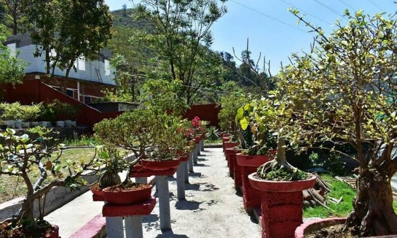 Hotel Hanumanti River View Resort
