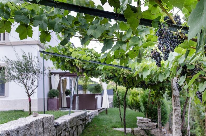 Agroturismo Casa Da Cevidade