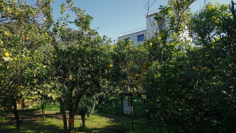 Hotel Tenuta Convivium Cuma