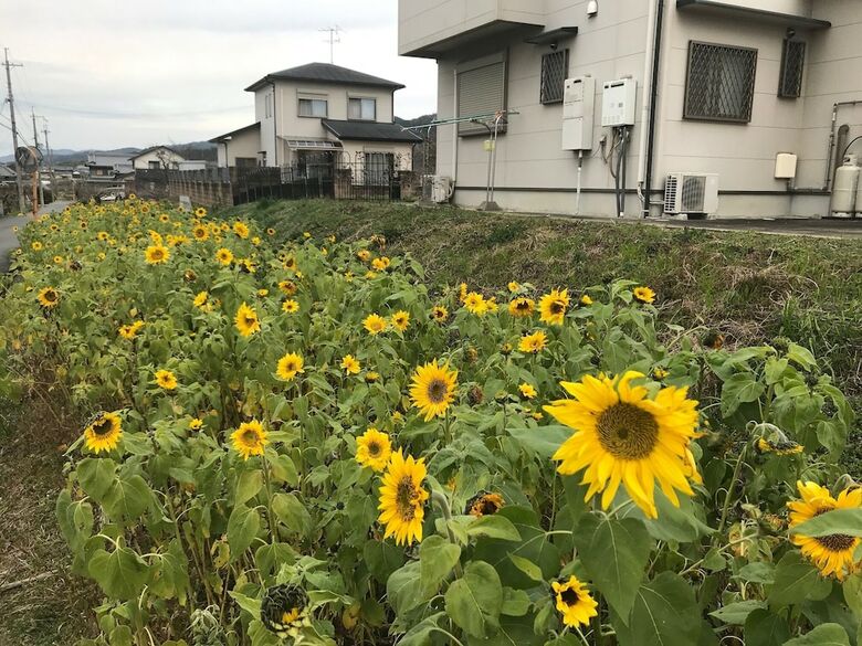 Hotel Yamanobenomichi Teku Teku