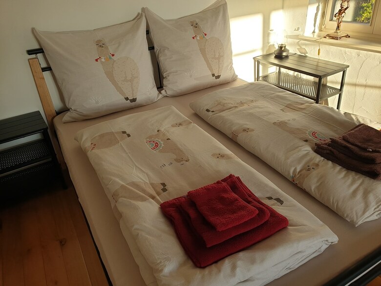 Hotel La Alqueria de Las Alpacas