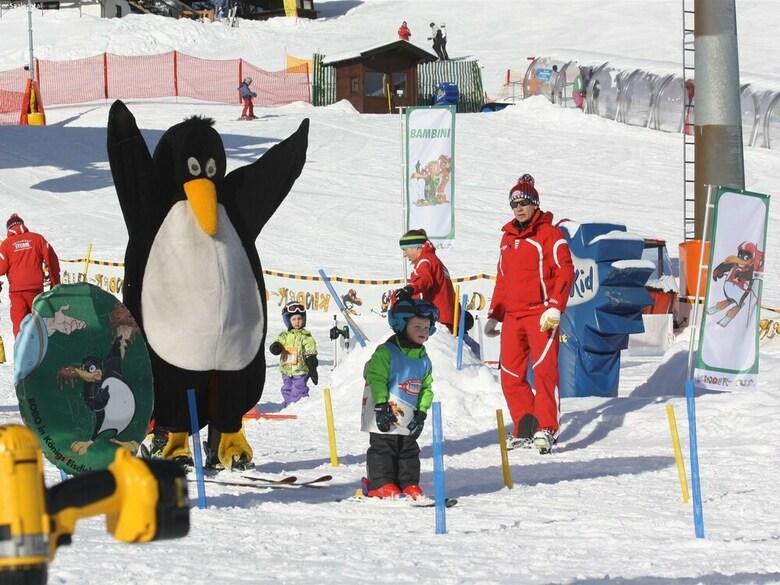 Spacious Apartment In Lofer With Garden