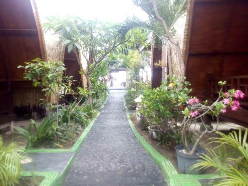 Coral Beach Pizza Cottages