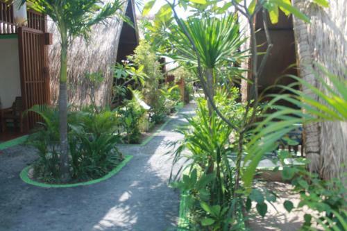 Coral Beach Pizza Cottages