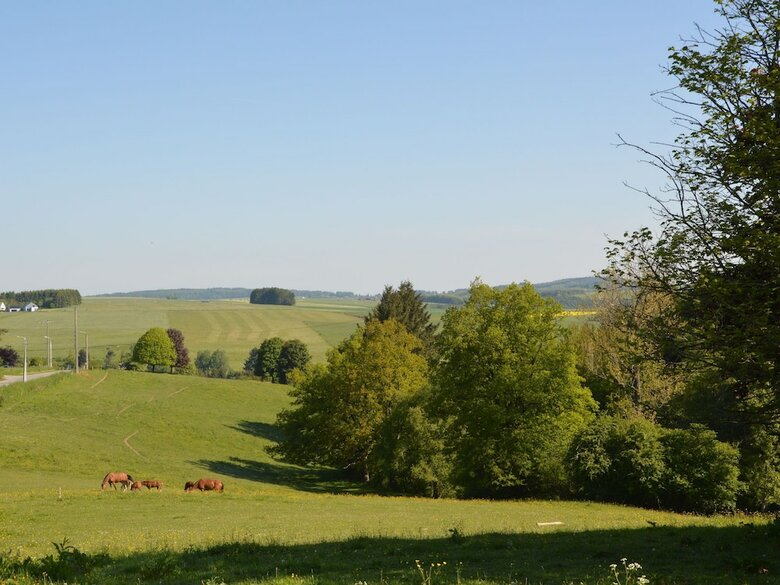 Attached Gite On The Edge Of The Forest