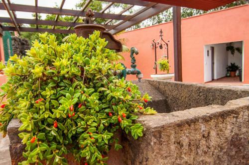 Agroturismo Finca El Pastel