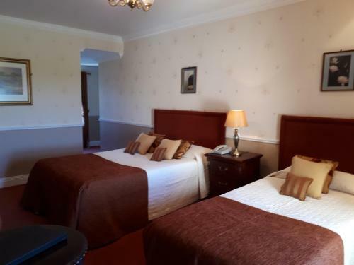 Hotel Aran View Country House