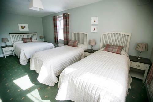 Bed & Breakfast Doonmacfelim House