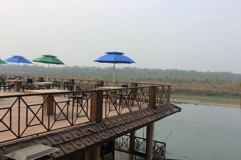 Hotel Jungle Wildlife Camp