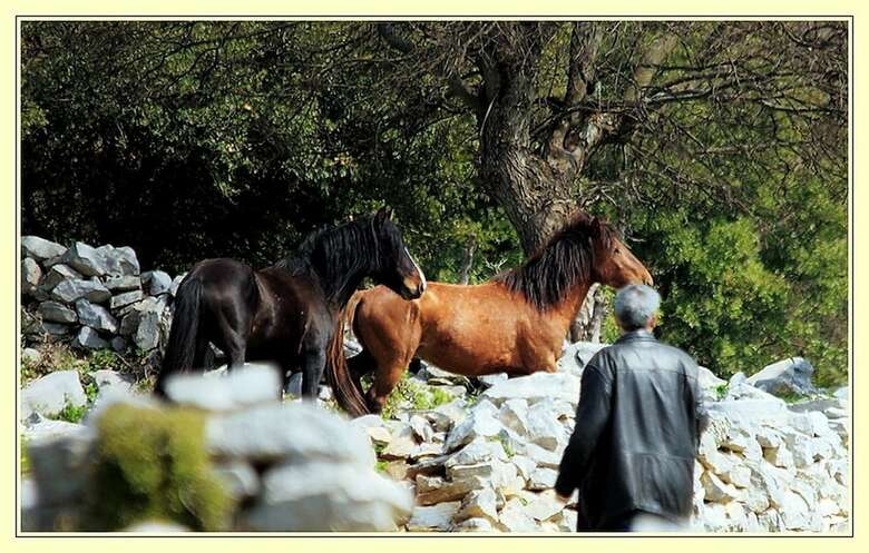 Bed & Breakfast Guest House - To Archontiko