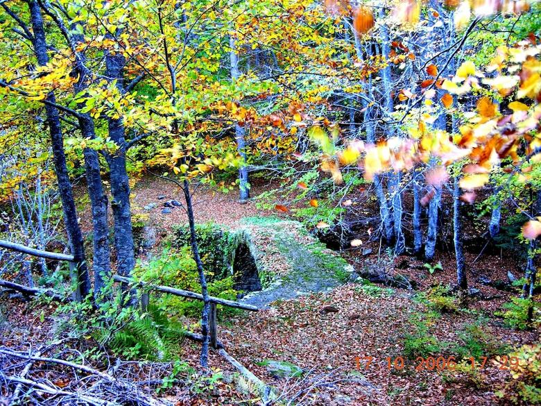 Bed & Breakfast Guest House - To Archontiko