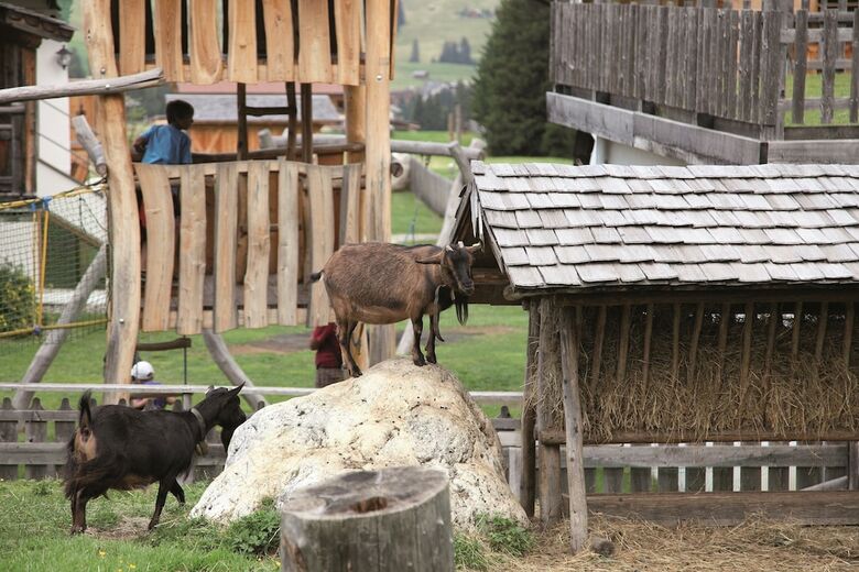 Tirler - Dolomites Living Hotel