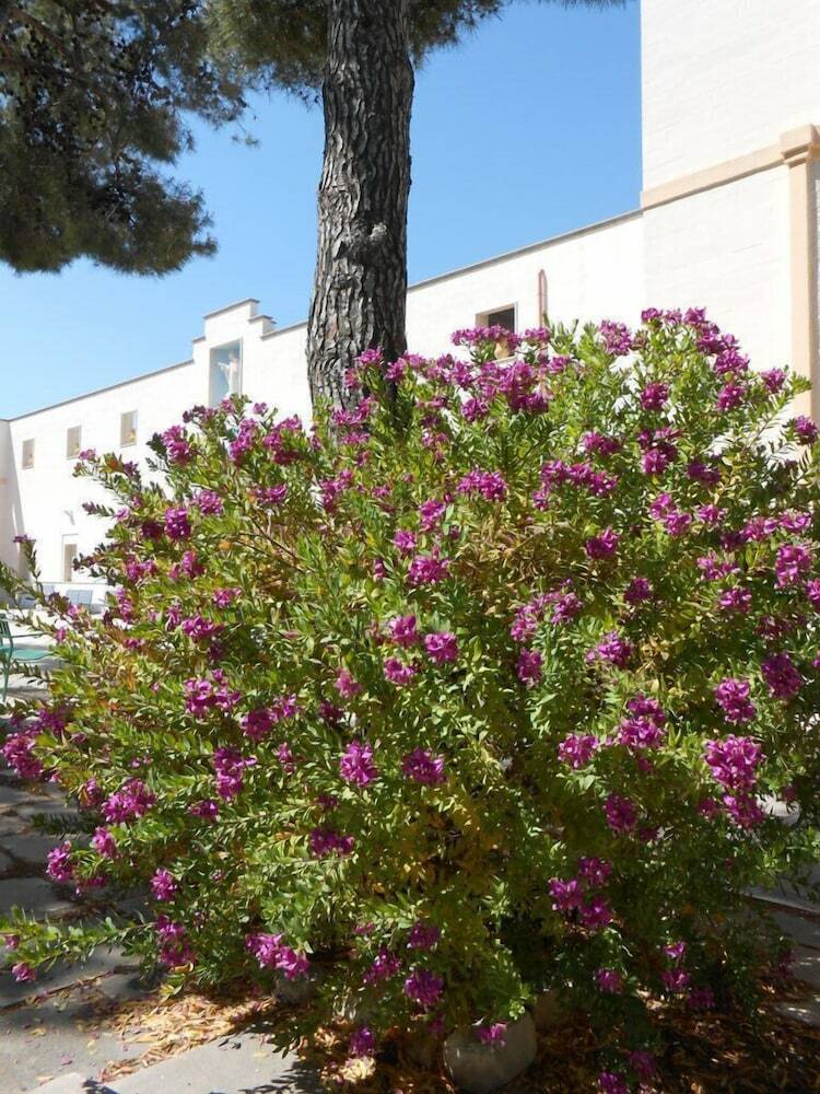 Hotel Casa Per Ferie Sacro Cuore