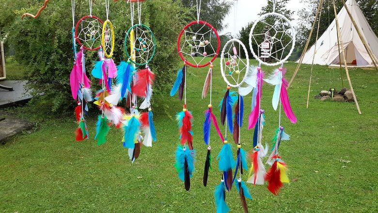Bed & Breakfast Les Hauts de Hurlevents - Le Buffalo