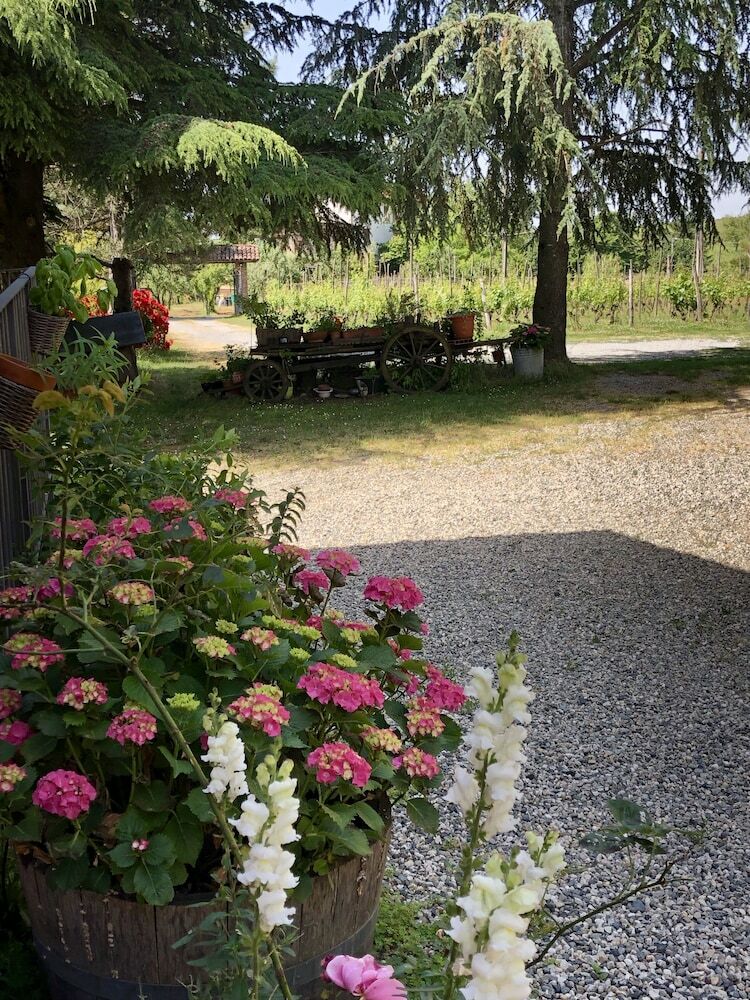 Agroturismo La Maddalena Bed & Wine