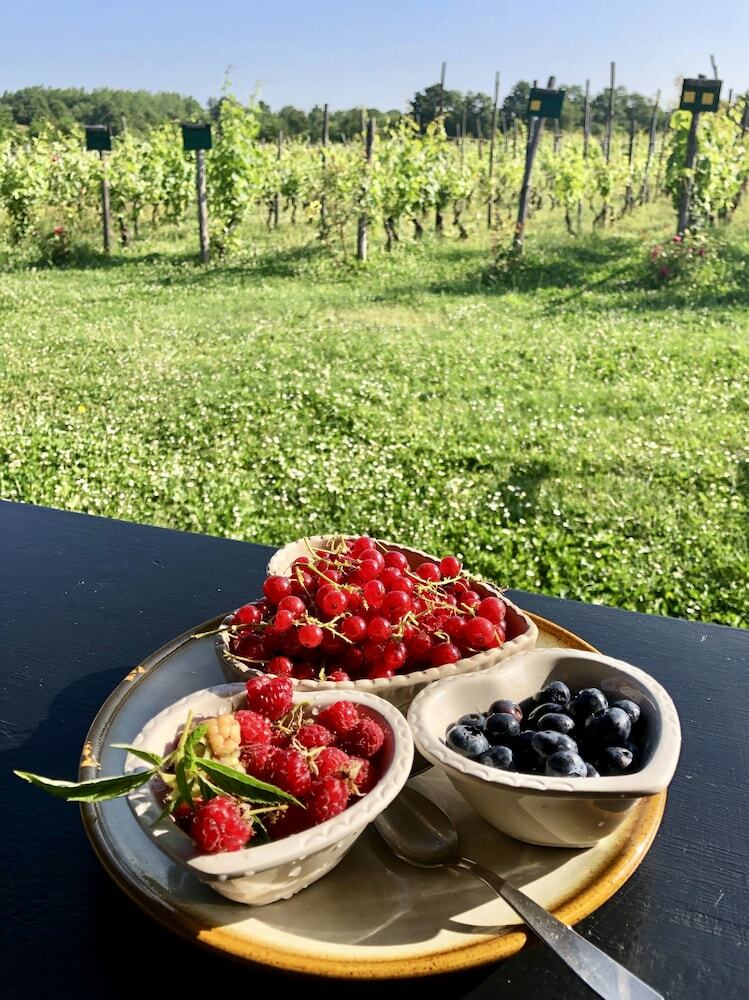 Agroturismo La Maddalena Bed & Wine