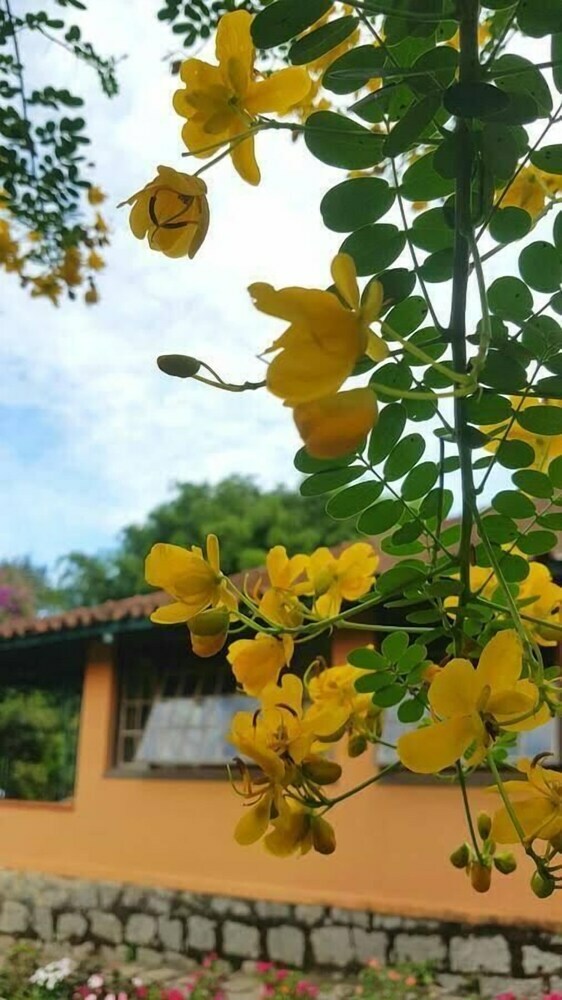 Hostal Parque Nacional Hostel C. Dom Quixote