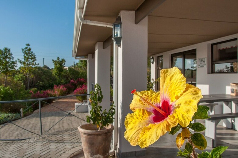 Hotel Wind-rose Guest House