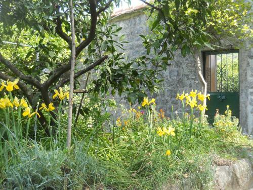 Hostal Villa Rustica