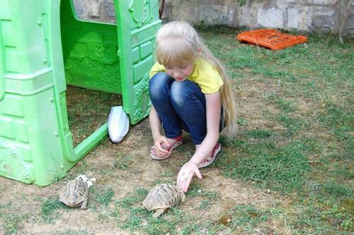 Fashion Apartments Risan