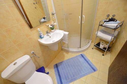 Apartments Vojin
