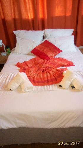 Hostal Marumadi Planeta Mocambique