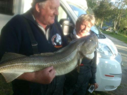 Lodge Kjellingstraumen Fjordcamp