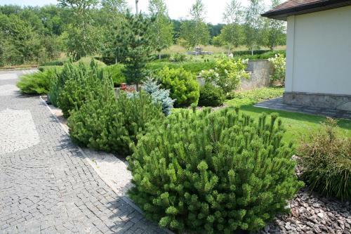 Posada Vesyolaya Rochsha