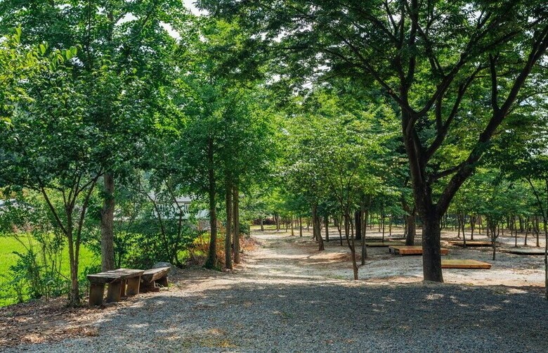 Bluewind Pension