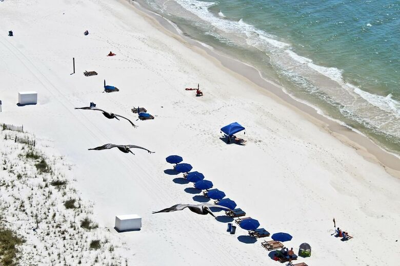 Crystal Shores West 1105 By Youngs Suncoast