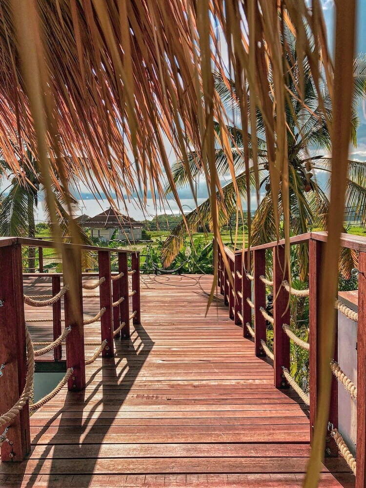 Hostal The Swell - Hostel - Adults Only