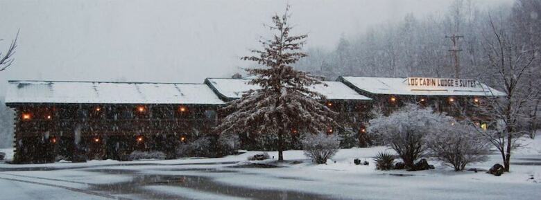 Motel Log Cabin Lodge & Suites