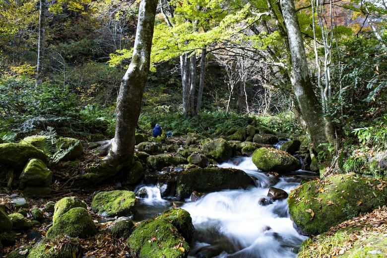 Hotel Kyukamura Oku-daisen