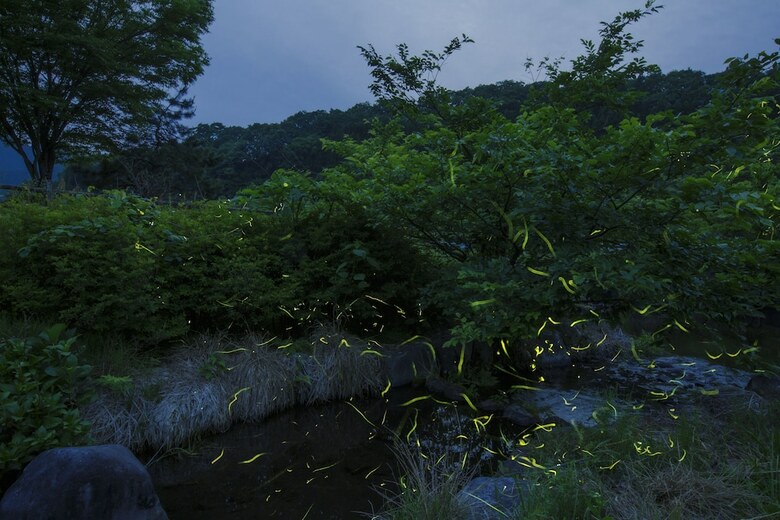 Hotel Kyukamura Oku-daisen