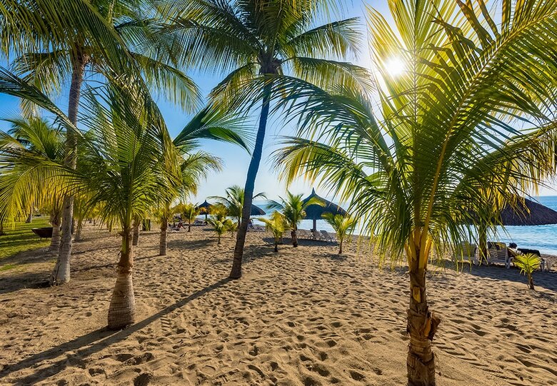 Hotel Royal Decameron Indigo - All Inclusive