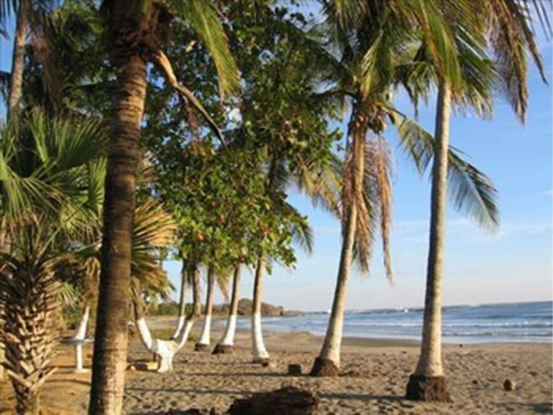 Hotel Guacamaya Lodge