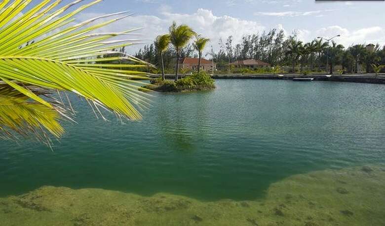 Taste Of Paradise