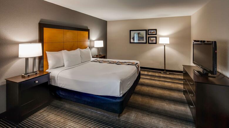 Best Western Plus Hyde Park Chicago Hotel