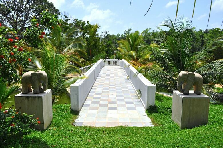 Hotel Cocoon Resort & Villas