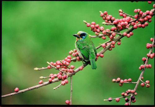 Hotel Atunas Holiday Country