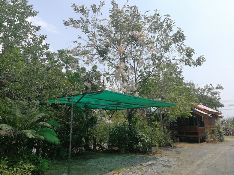 Hotel Bung Lung Resort